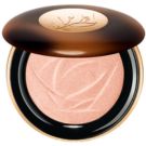 POWDER HIGHLIGHTER TIU 01 10G