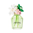 MJ DAISY WILD EDP 100ML