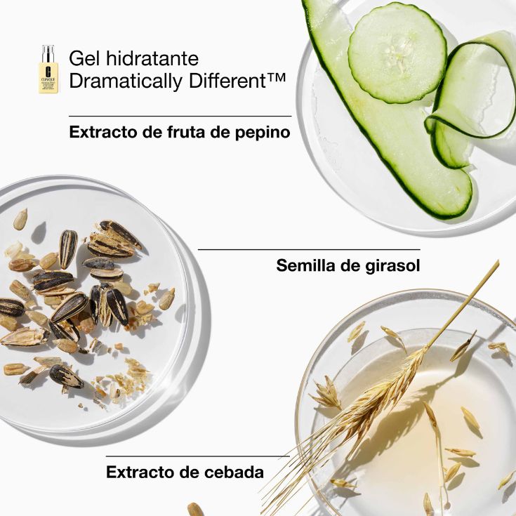 SET TRATAMIENTO RUTINA 3 PASOS ROSTRO GREAT SKIN EVERYWHERE: PIEL MIXTA-GRASA HOLIDAY