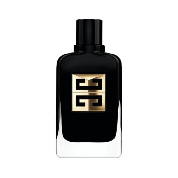 GENTLEMAN SOCIETY AMBREE
