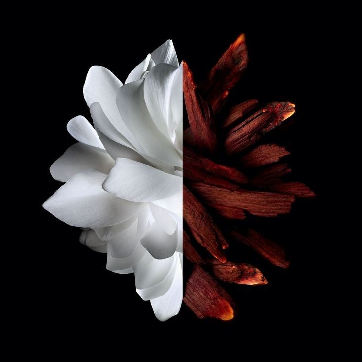 L INTERDIT EAU DE PARFUM ROUGE 